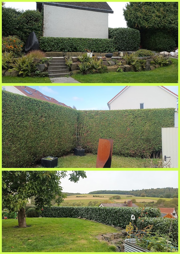 Baum & Garten Mohr — Fotos 8