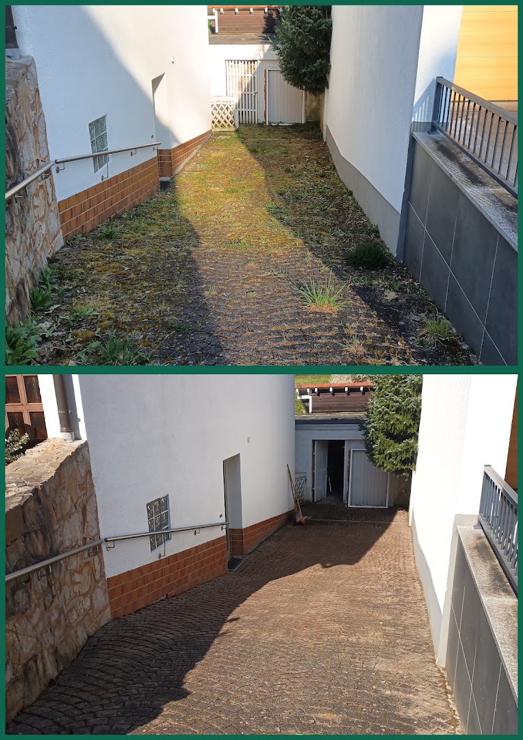 Baum & Garten Mohr — Fotos 5