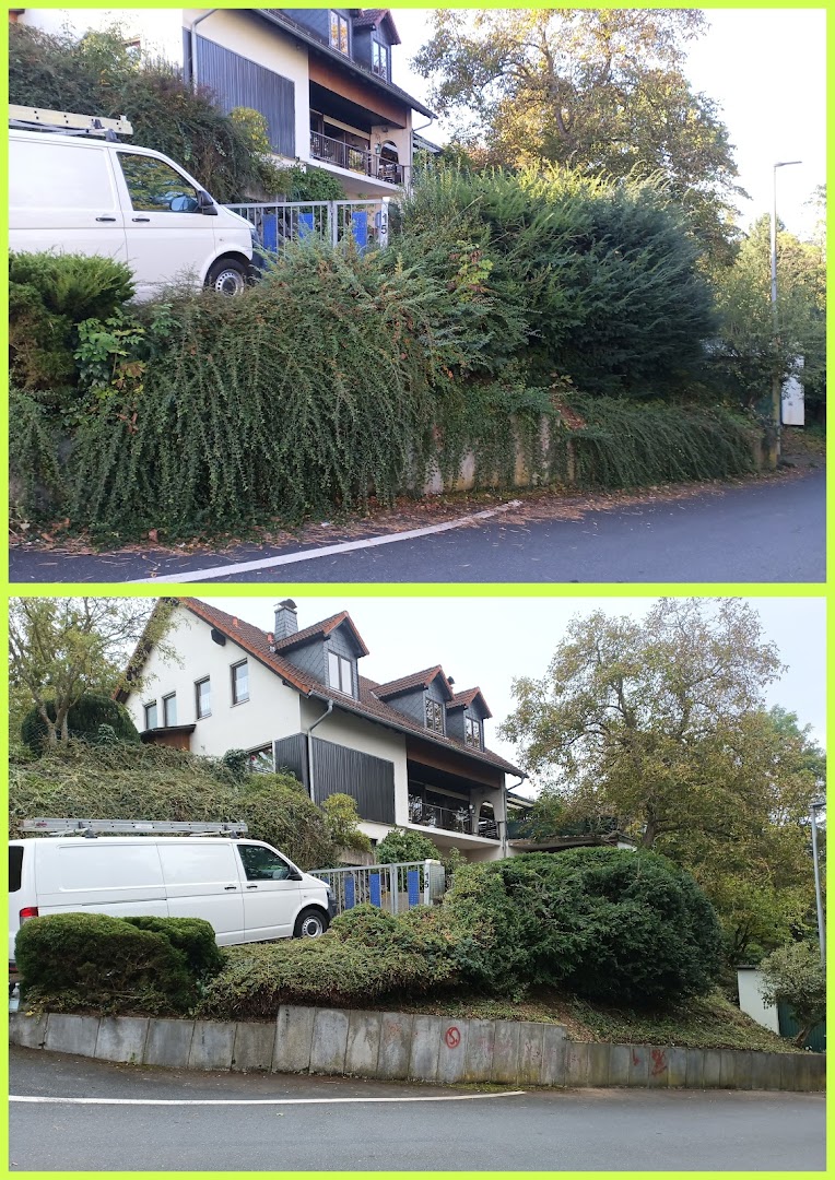 Baum & Garten Mohr — Fotos 2