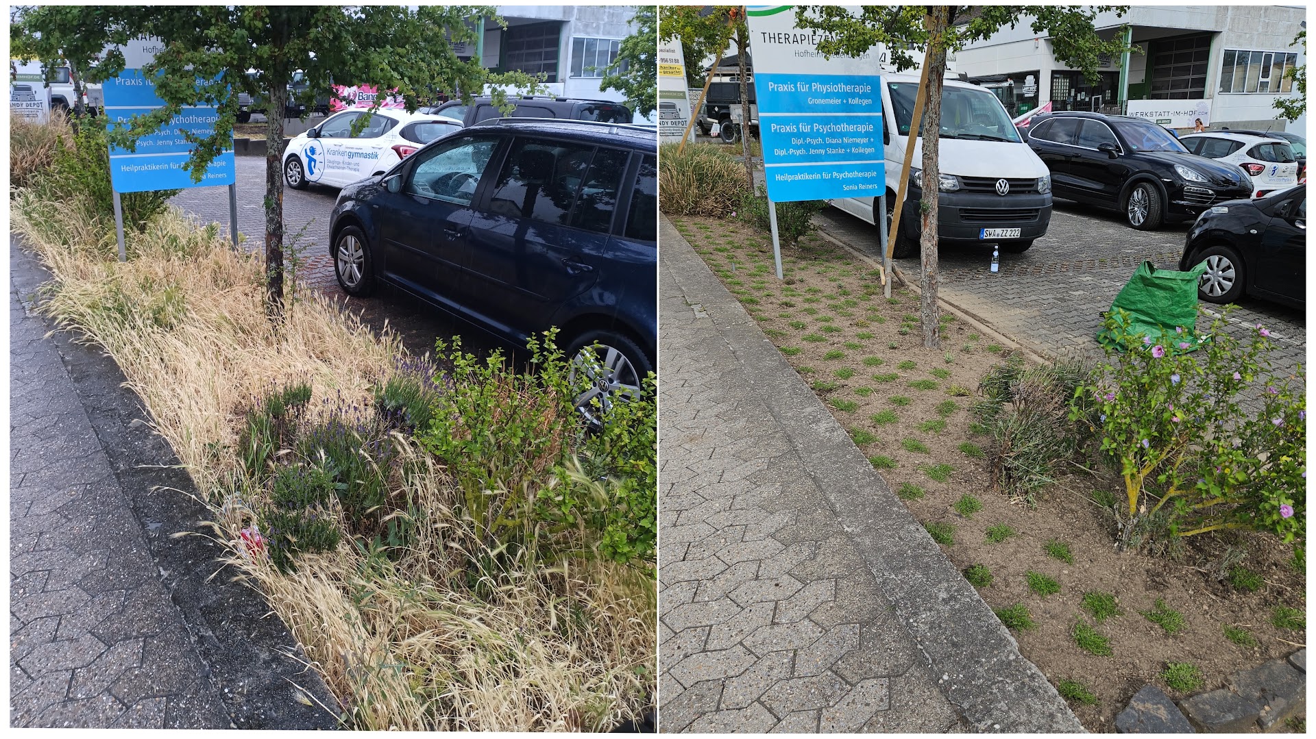 Baum & Garten Mohr — Fotos 9